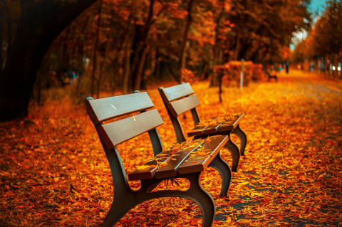 Image by Pepper Mint from Pixabay Image by Pepper Mint from Pixabay
