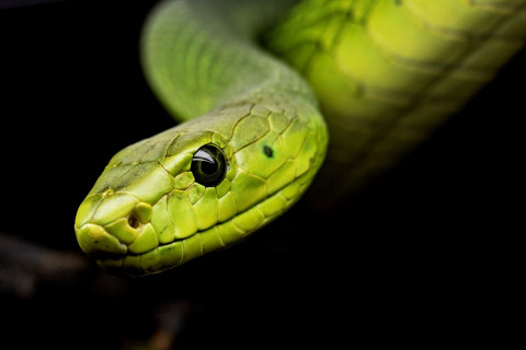 Image by Michael Kleinsasser from Pixabay Image by Michael Kleinsasser from Pixabay