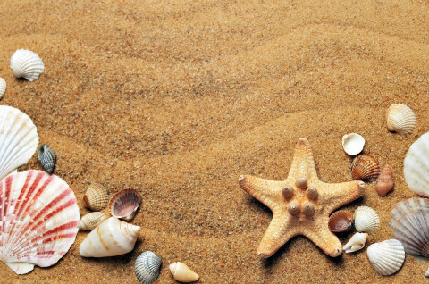Image by D. from Pixabay Image by D. from Pixabay