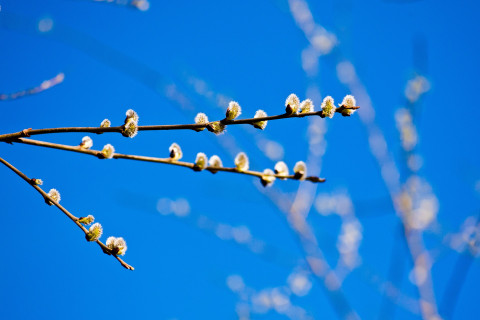 Foto di anvel da Pixabay Foto di anvel da Pixabay