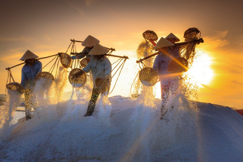 Foto di Quang Nguyen vinh da Pixabay Foto di Quang Nguyen vinh da Pixabay