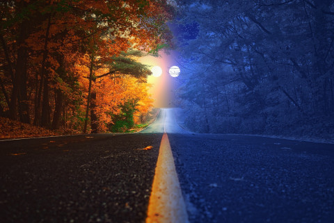 Immagine originale da Pixabay, rielaborata digitalmente